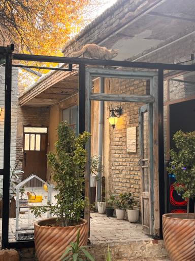 عکس باغچه نبات