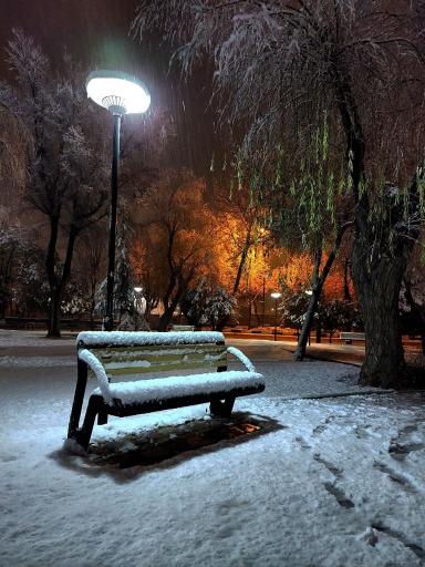 عکس پارک لاله