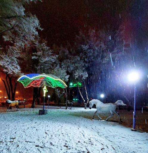 عکس پارک لاله