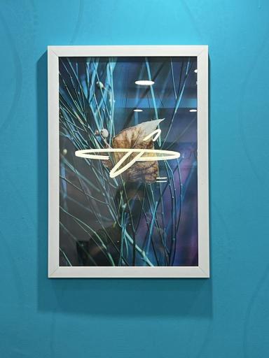 عکس چاپخانه سیمرغ