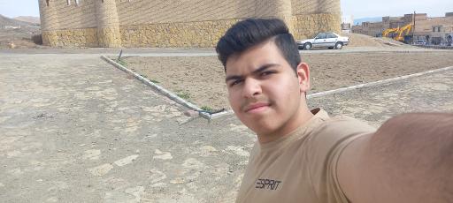 عکس ارگ کریم خان زند مینی ورد