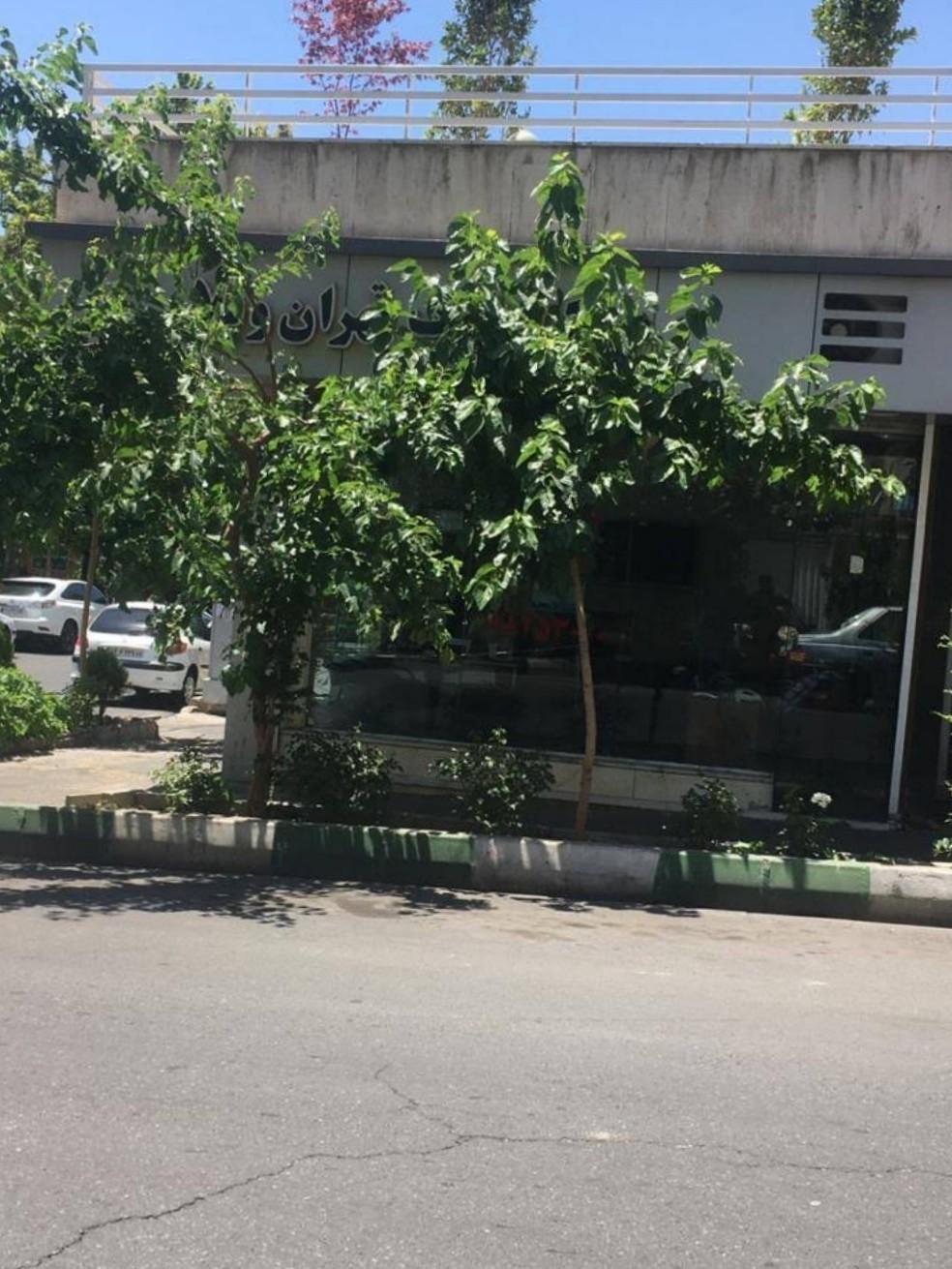 عکس مشاور املاک پارک تهران ویلا