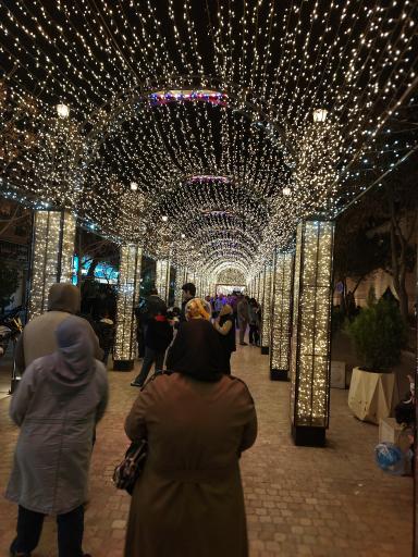 عکس ارگ کریم خان زند مینی ورد