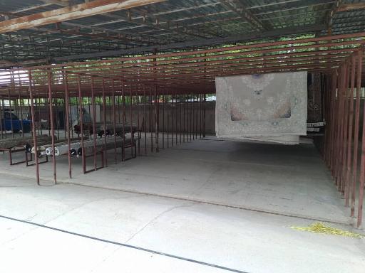 عکس قالیشویی صدرا 