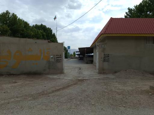 عکس قالیشویی صدرا 