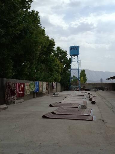 عکس قالیشویی صدرا 