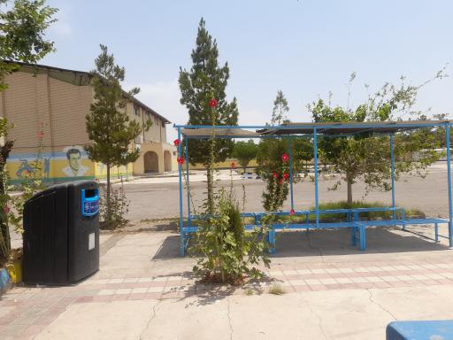 عکس هنرستان تربیت بدنی شهید ارجمندی