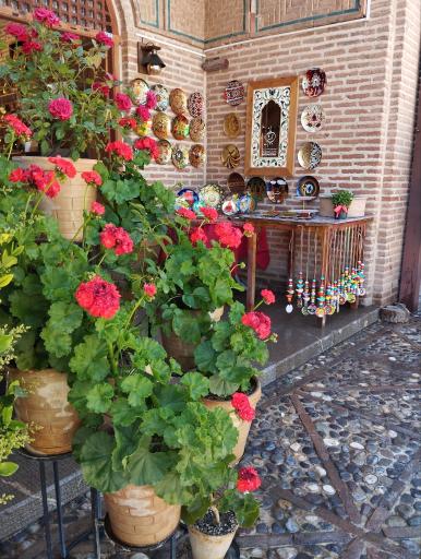 گالری تخصصی ماه منیر رجبی 