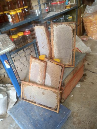 عکس پخش عسل خاورمیانه 