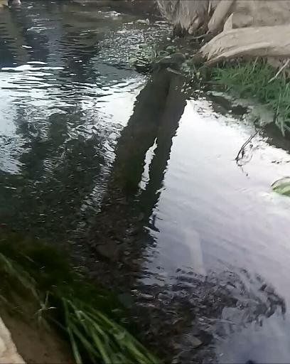 عکس صالح آباد