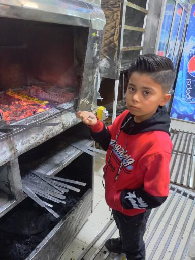 عکس کباب بناب هیزم