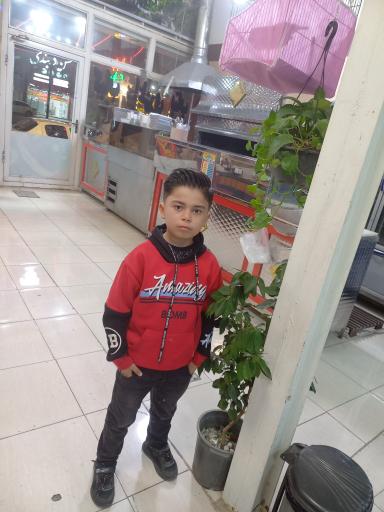 کباب بناب هیزم