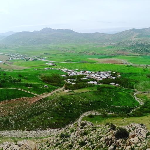 عکس میل میلک