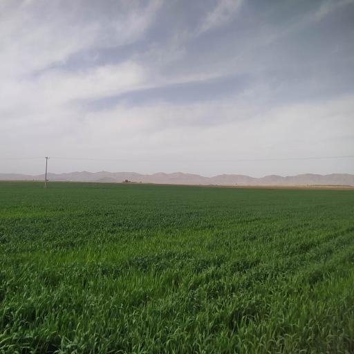 عکس یوسف خان