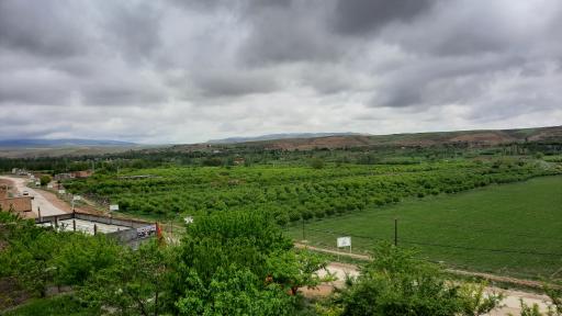 یوسف خان
