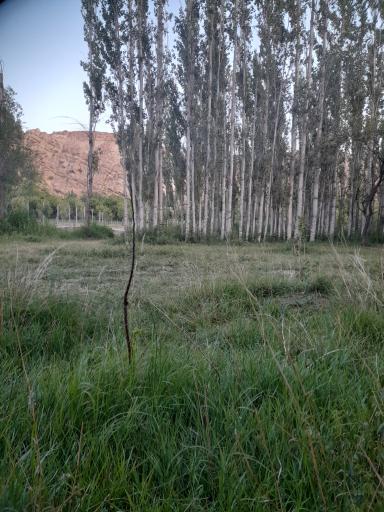 عکس یوسف خان