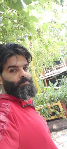 عکس دزفول گاومیش آبادغربی