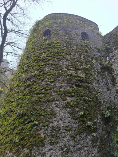 عکس قلعه رودخان