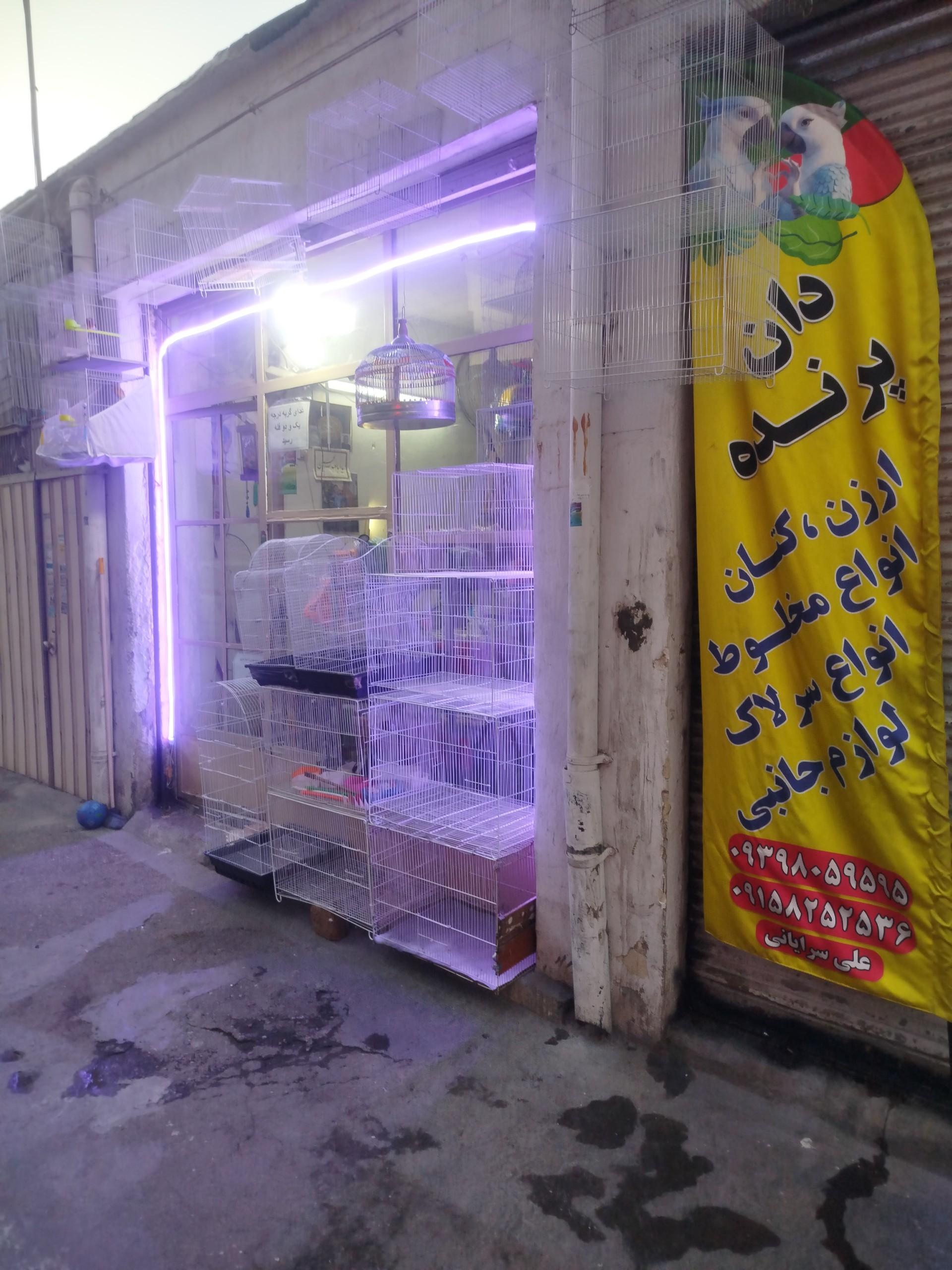 عکس پرنده فروشی پدر و پسرعلی سرایانی