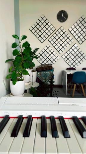 عکس آکادمی موسیقی نواک