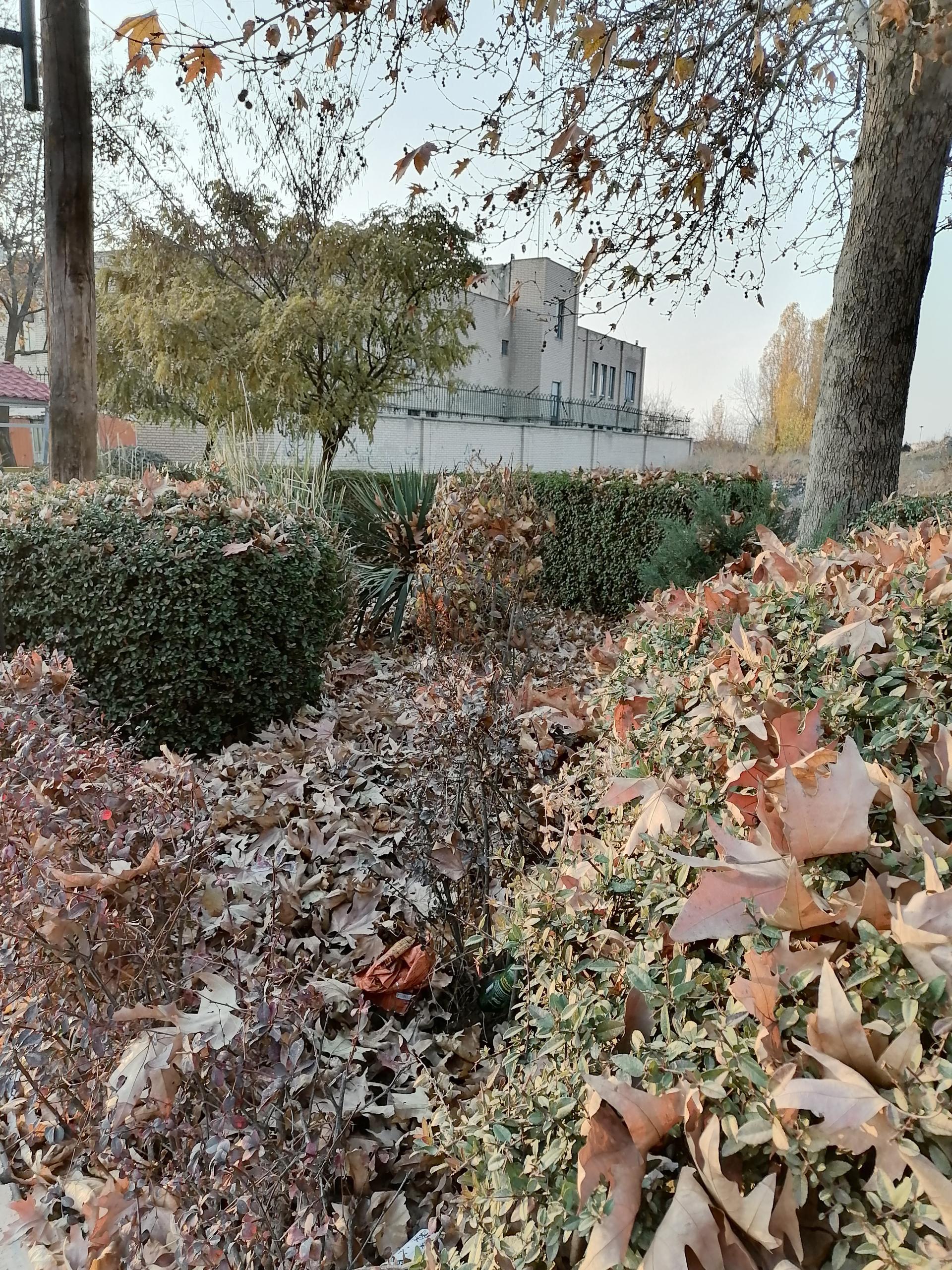 عکس بوستان شرافت