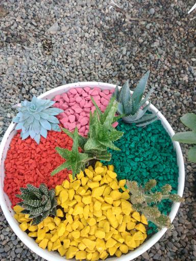 عکس گل فروشی نگارسازان