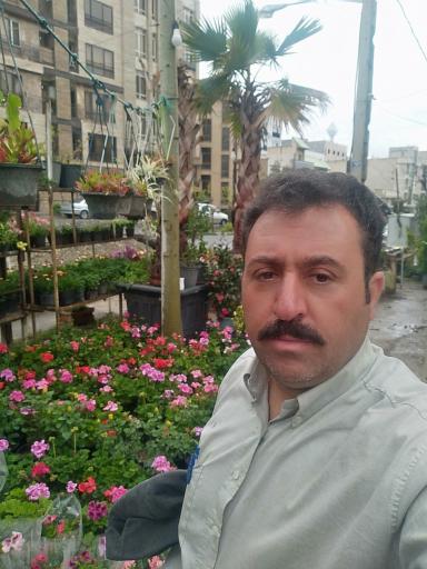 عکس گل فروشی نگارسازان