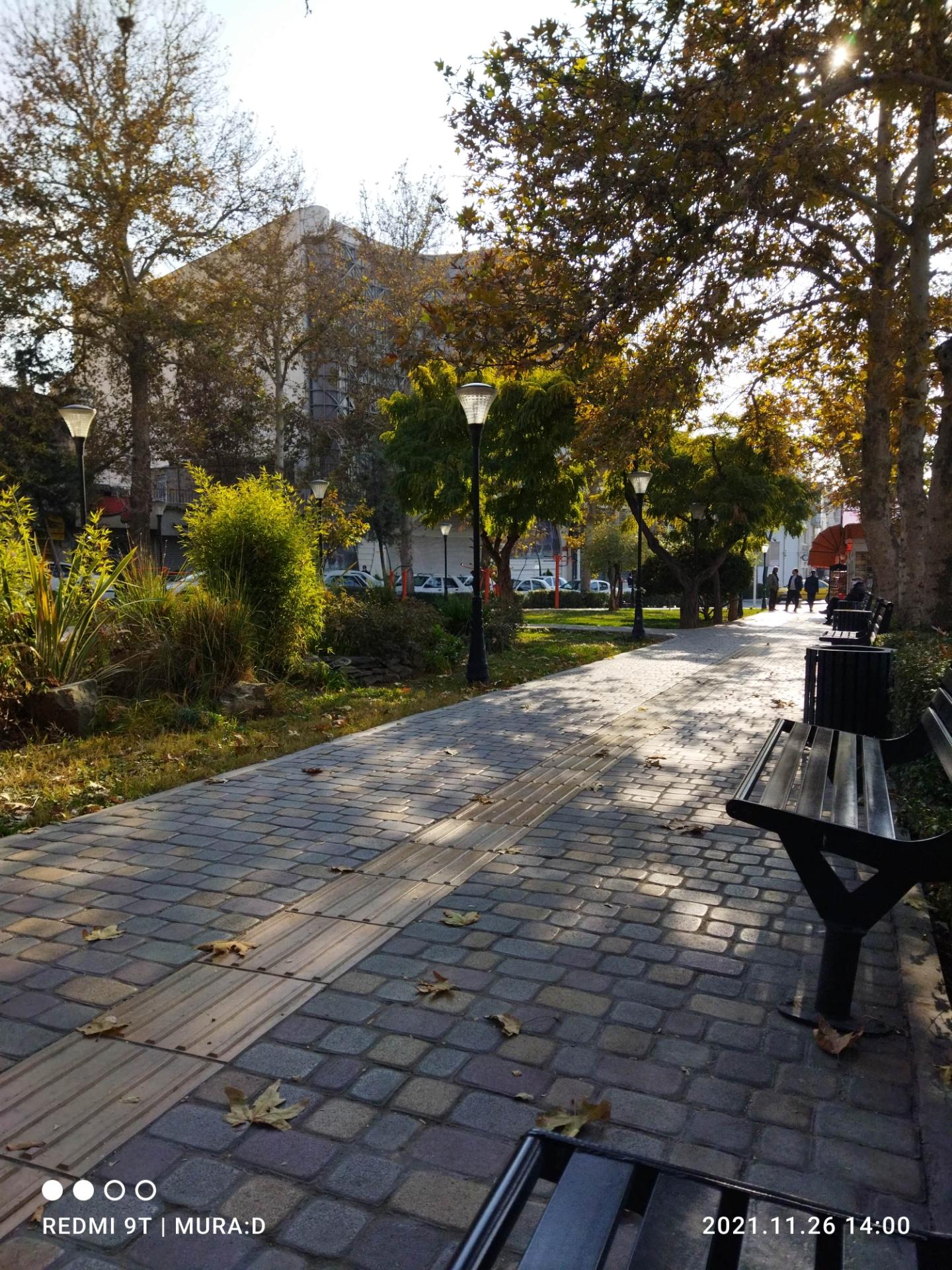 عکس بوستان شرافت