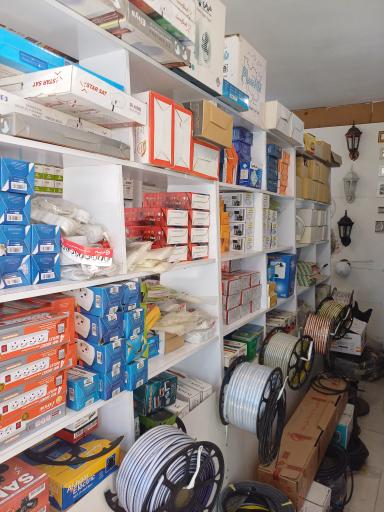 عکس الکتریکی سید