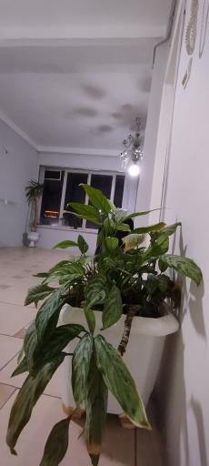 عکس آموزشگاه بازیگری آشتی 