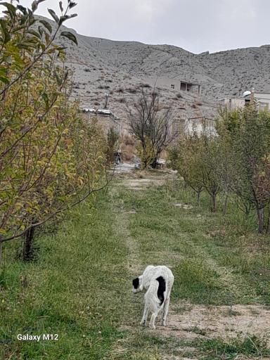 عکس منطقه نمونه گردشگری استانی سد تبارک