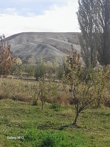 عکس منطقه نمونه گردشگری استانی سد تبارک
