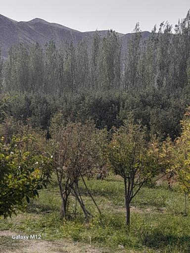 عکس منطقه نمونه گردشگری استانی سد تبارک