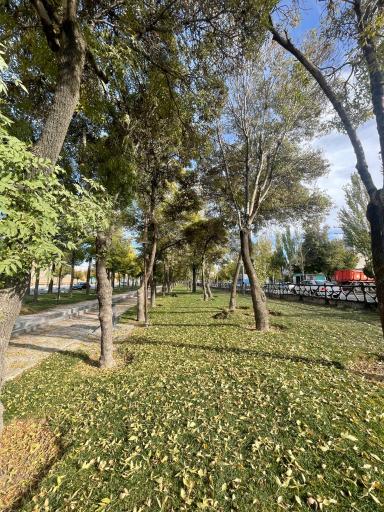 عکس فضای سبز