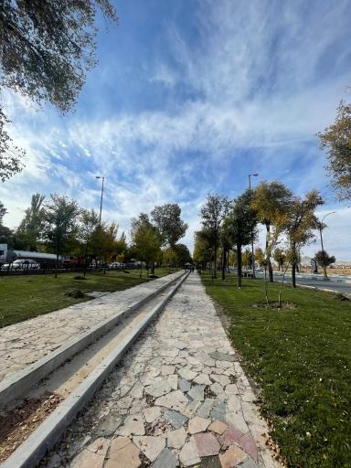 عکس فضای سبز