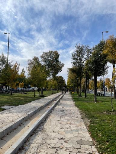 عکس فضای سبز