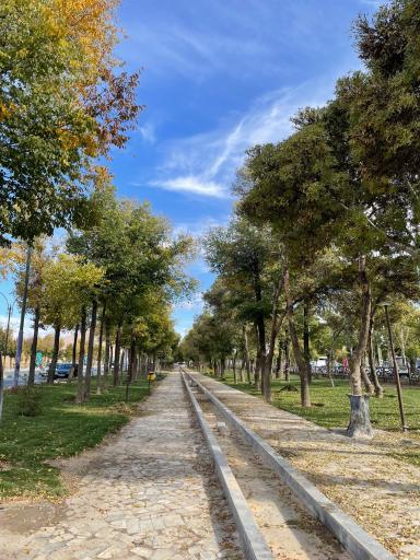 عکس فضای سبز