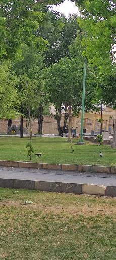 عکس فضای سبز