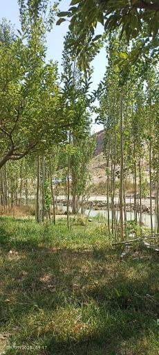 عکس منطقه نمونه گردشگری استانی سد تبارک