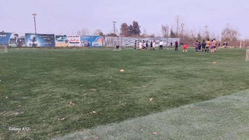 عکس ورزشگاه فوتبال آرالیا