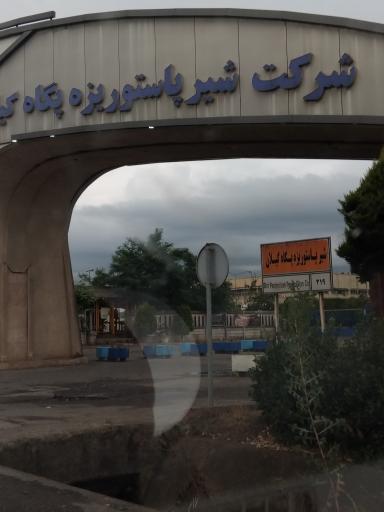 عکس فرآوردههای لبنی پگاه رشت