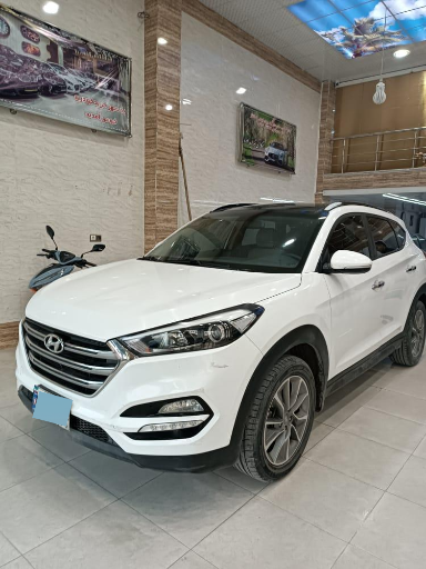 عکس اتوگالری پاسارگاد