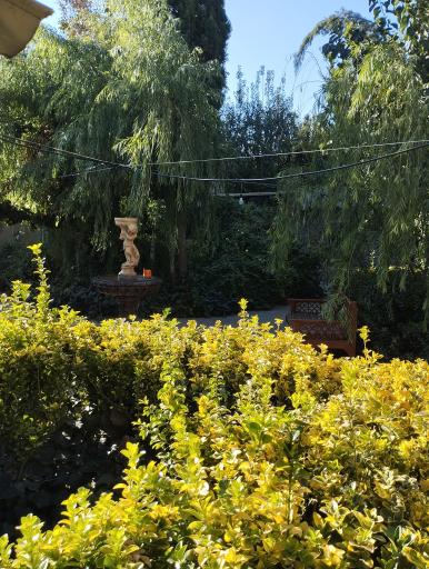 عکس سفره خانه آریا