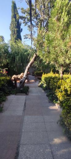 عکس سفره خانه آریا