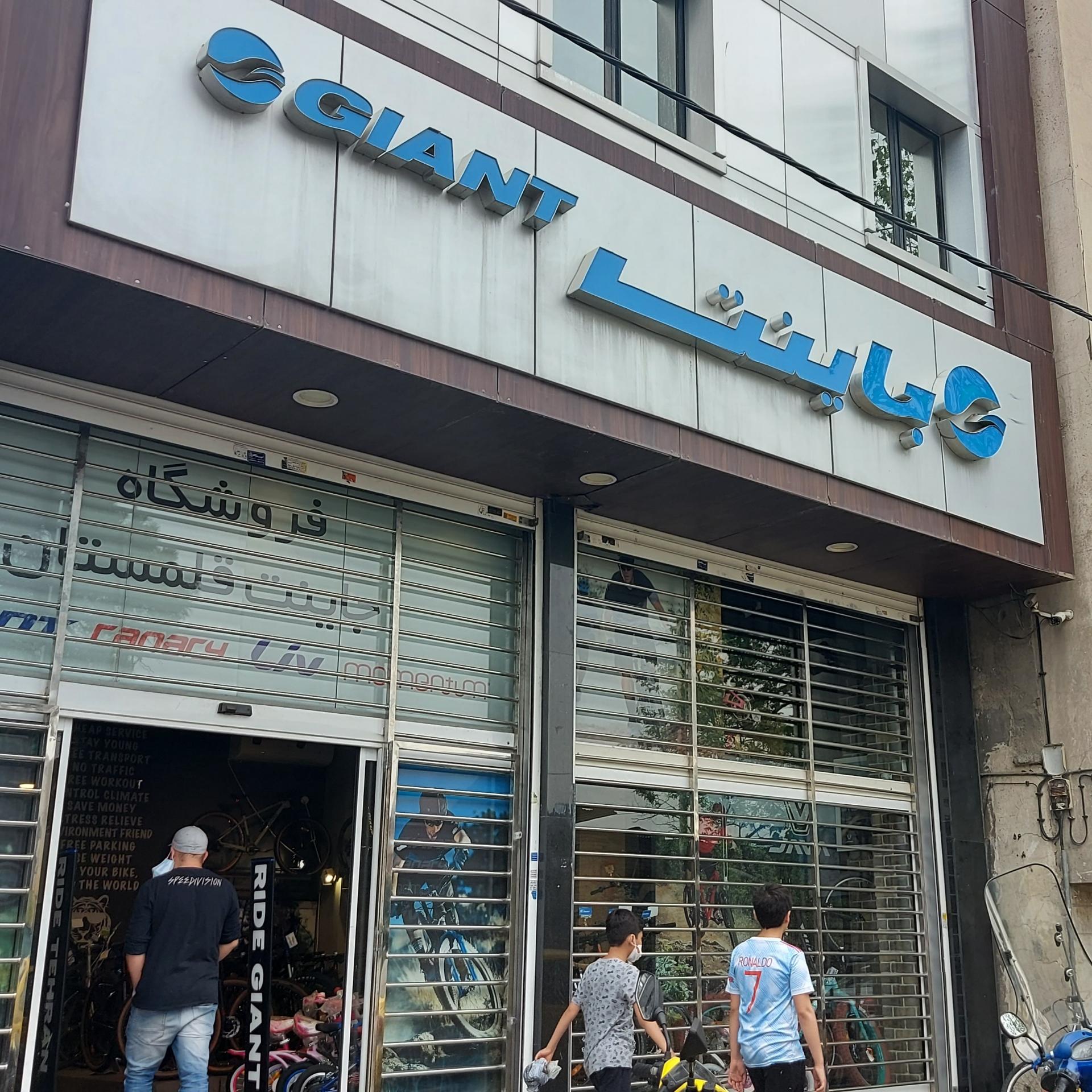 عکس جاینت قلمستان
