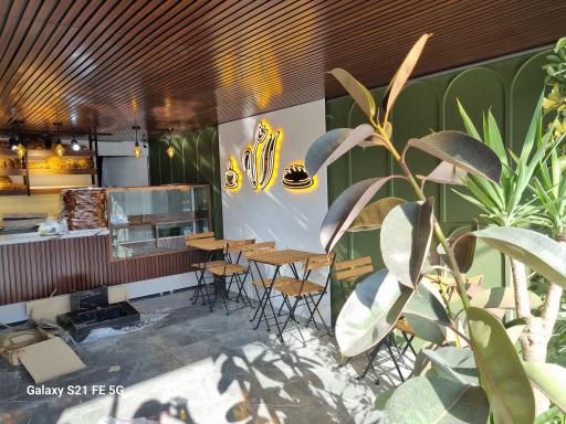 عکس شیرینی سرای لاله