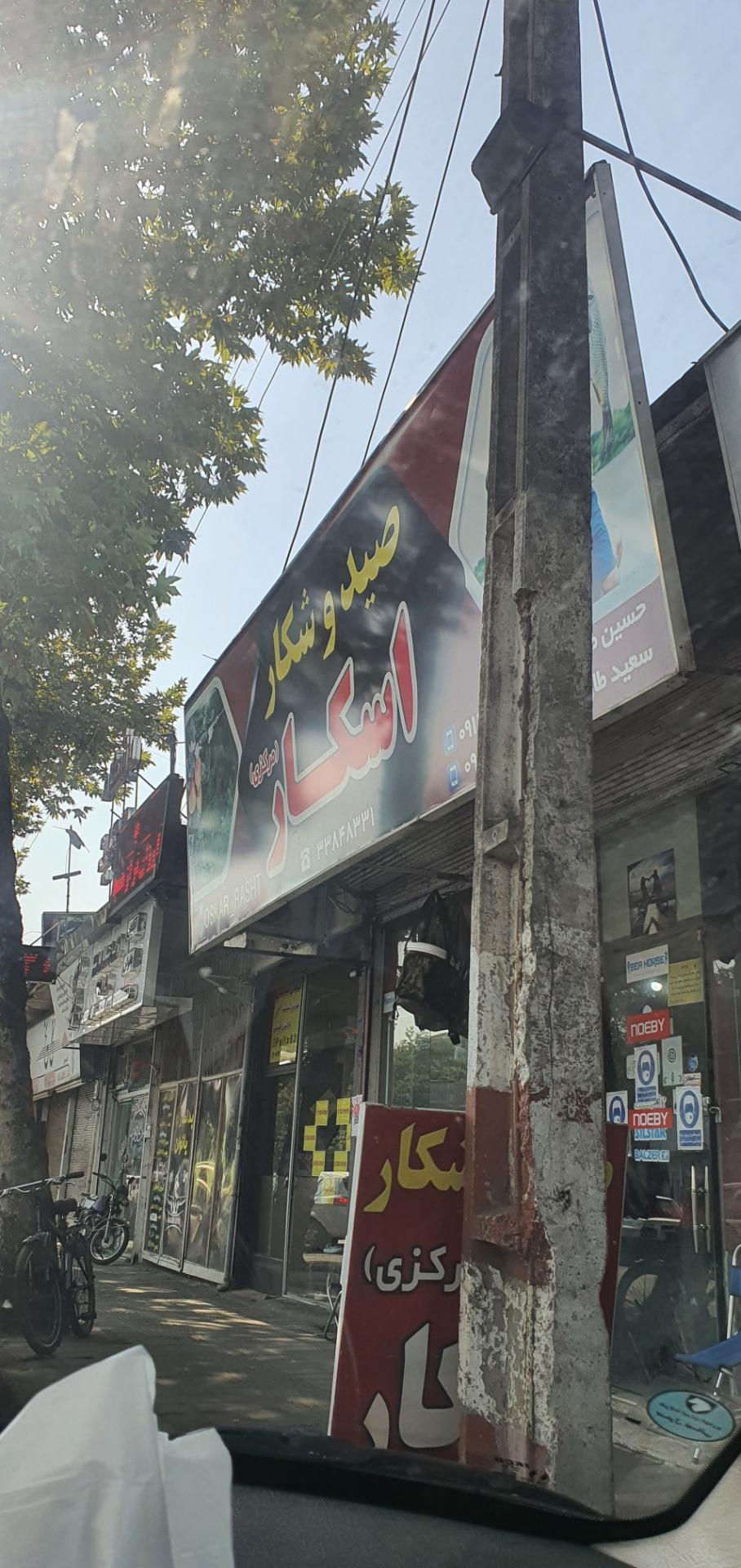 عکس صید و شکار اسکار