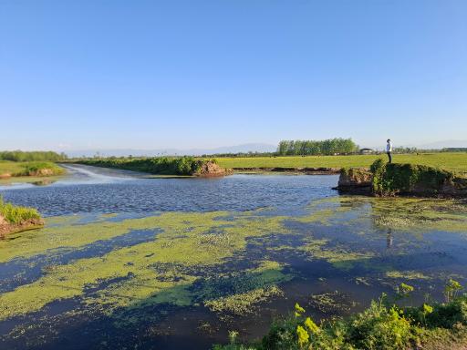 عکس جیرسر باقرخاله