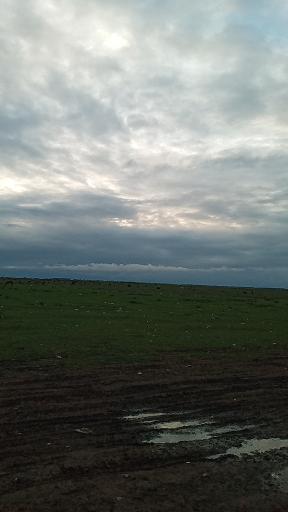 عکس جیرسر باقرخاله
