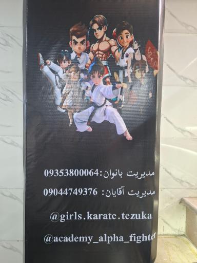 عکس باشگاه رزمی آلفافایتر 